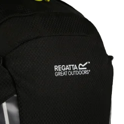 Britedale 20L Backpack | Black
