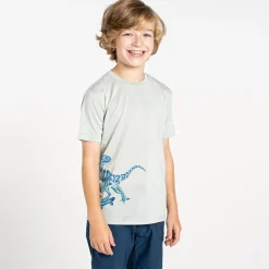 Dare 2b - Kids' Amuse II T-Shirt | Aqua Grey