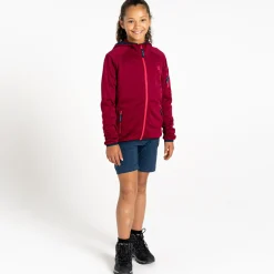 Dare 2b - Kids' Explore Fleece  | Beetroot