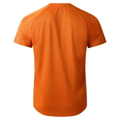 Dare 2b - Men's Accelerate Fitness T-Shirt | Spicy Route
