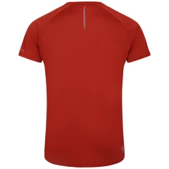 Dare 2b - Men's Accelerate Fitness T-Shirt | Tuscan Red