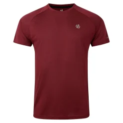 Dare 2b - Men's Accelerate Fitness T-Shirt | Fig