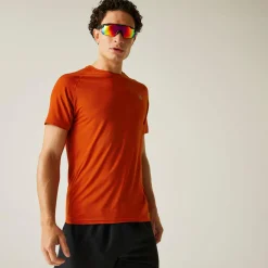 Dare 2b - Men's Persist T-Shirt | Cinnamon Marl