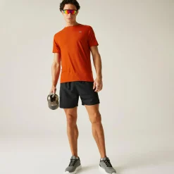 Dare 2b - Men's Persist T-Shirt | Cinnamon Marl