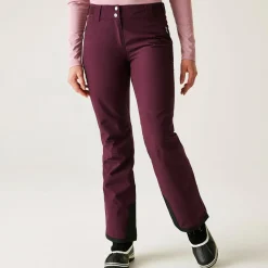 Dare 2b - Women's Diminish Waterproof Insulated Ski Pants | Fig