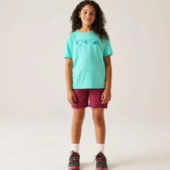 Kids' Alvarado IX T-Shirt | Aruba Blue