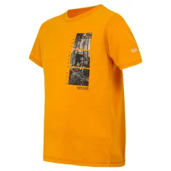 Kids' Alvarado IX T-Shirt | Bright Marigold