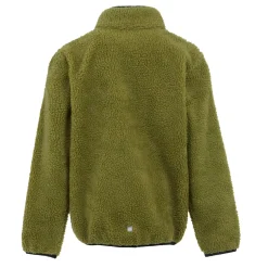 Kids' Frankie Full Zip Fleece | Nephrite Green