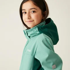 Kids' Haydenbury II Softshell Jacket | Dusty Green Rain Forest Green