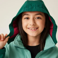 Kids' Haydenbury II Softshell Jacket | Dusty Green Rain Forest Green