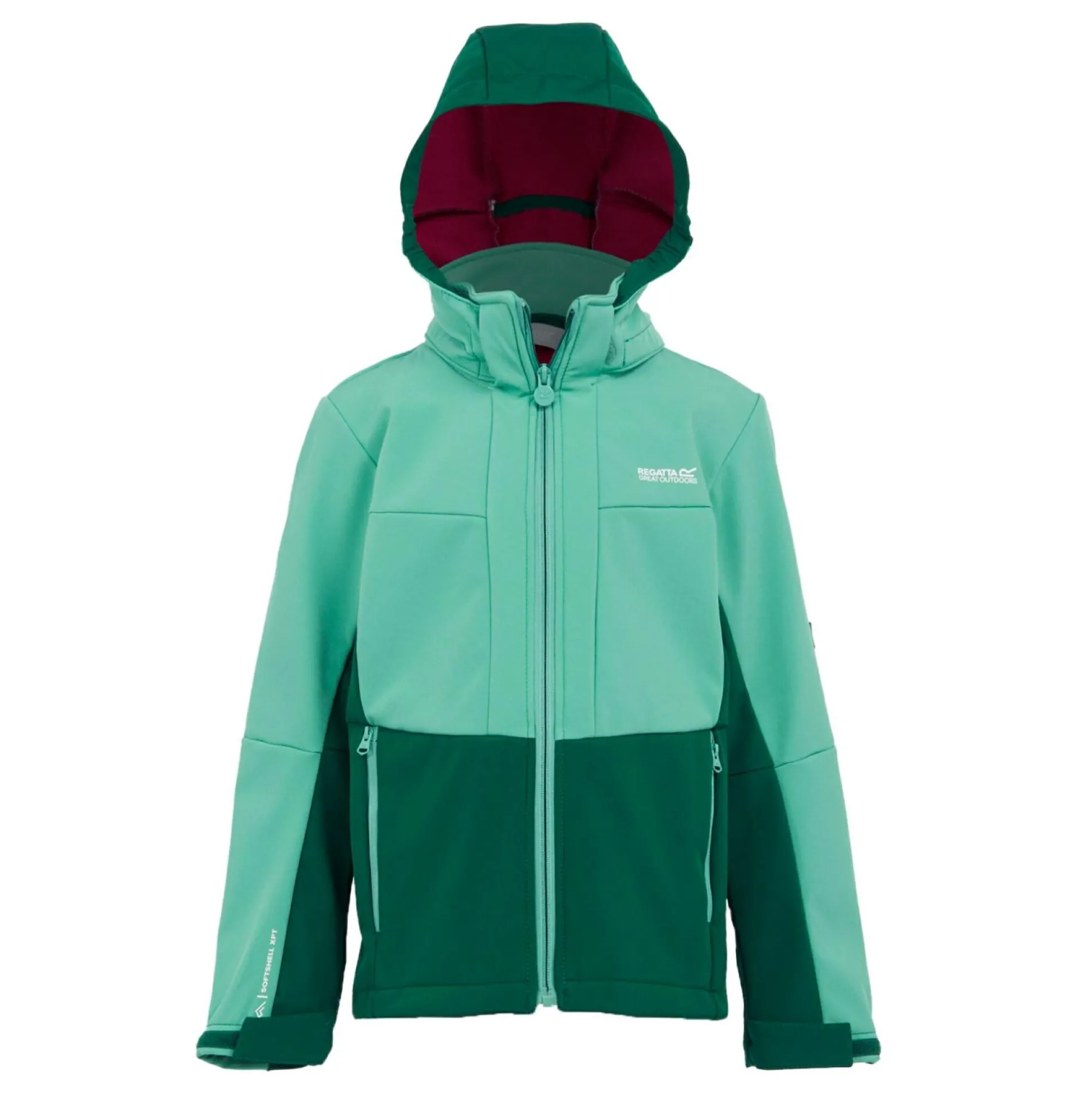Kids' Haydenbury II Softshell Jacket | Dusty Green Rain Forest Green