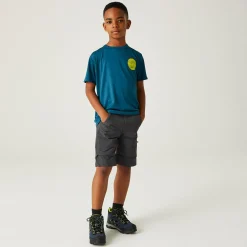 Kids' Highton Stretch Zip Off Walking Trousers | Seal Grey