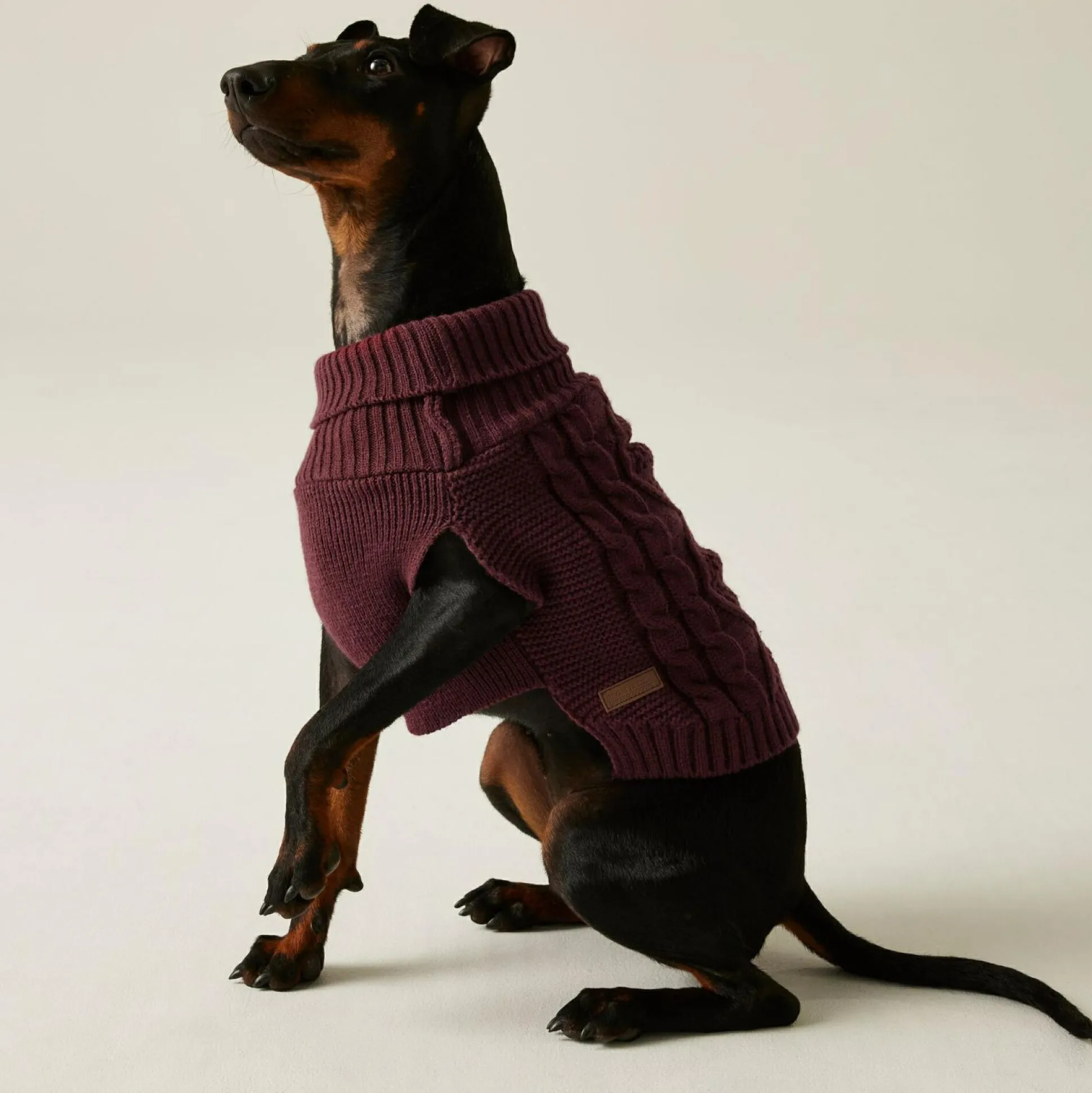 Knitted Dog Jumper | Claret