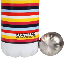 0.5L Insulated Bottle | Stripe