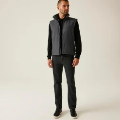 Men's Ablaze Printable Softshell Bodywarmer | Seal Grey Black