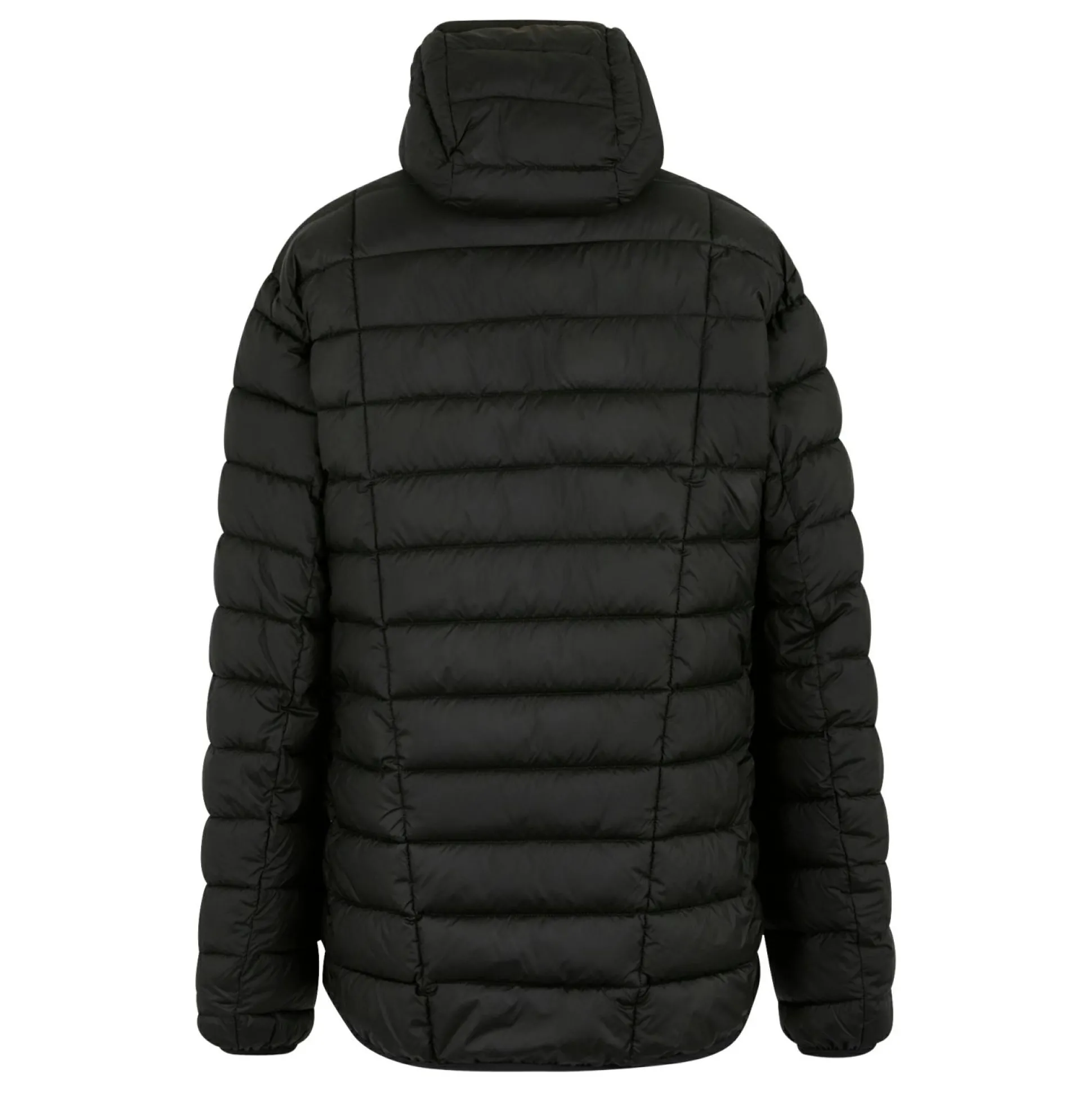 Men's Asper Padded Jacket | Black