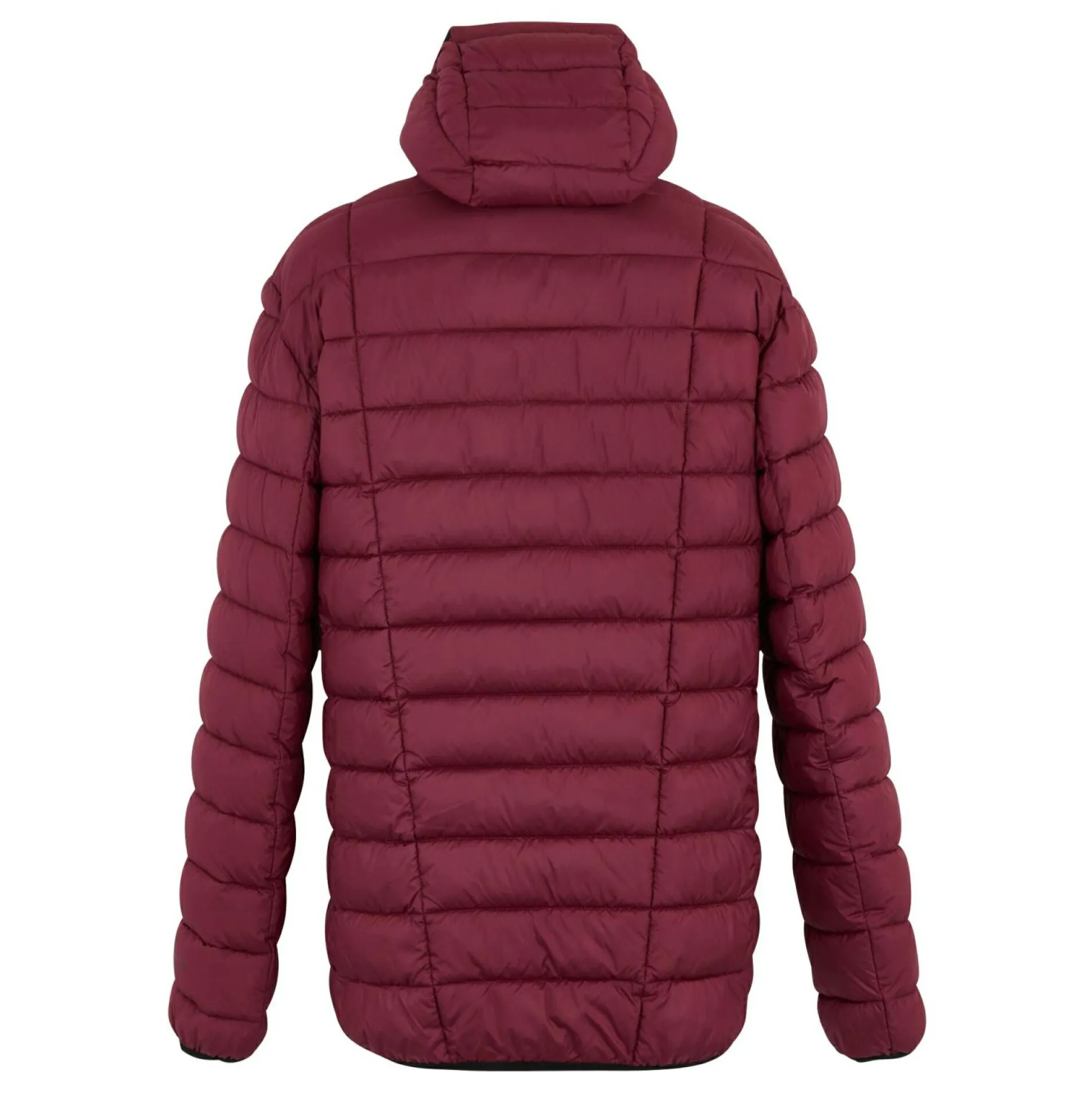 Men's Asper Padded Jacket | Dark Maroon