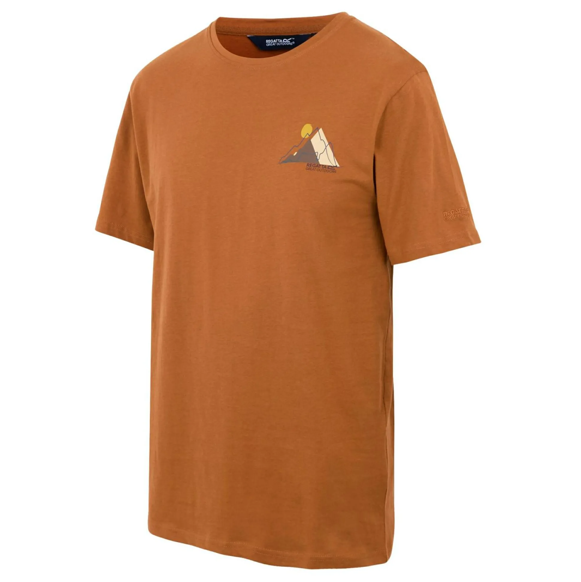 Men's Cline IX T-Shirt | Brown
