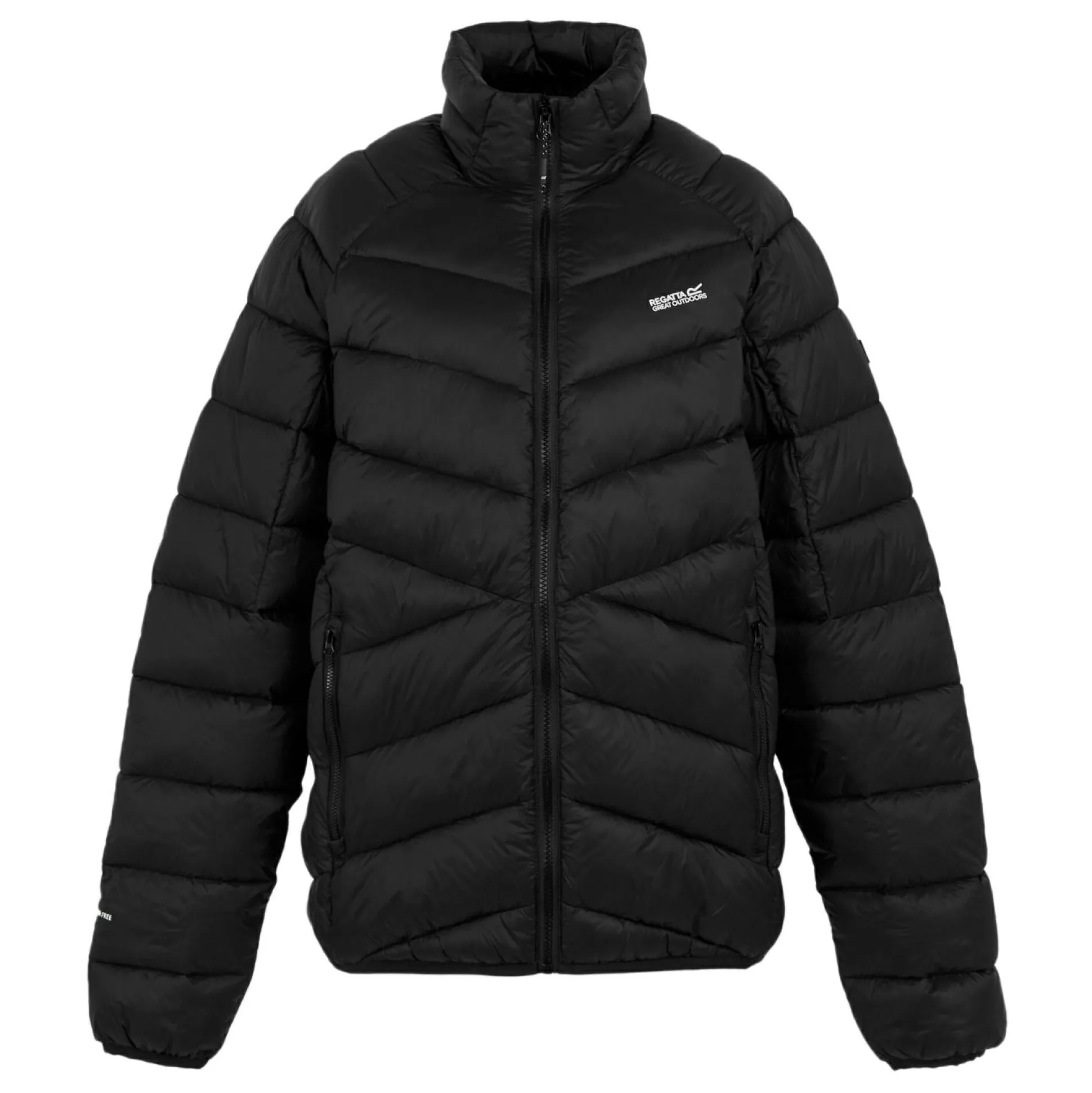 Men's Dalent Padded Jacket | Black