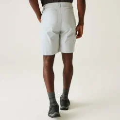 Men's Dalry Multi Pocket Shorts | Silver Grey