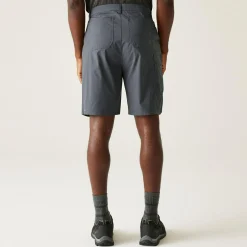 Men's Dalry Multi Pocket Shorts | Seal Grey