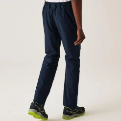 Men's Dayhike Waterproof Trousers IV | Navy