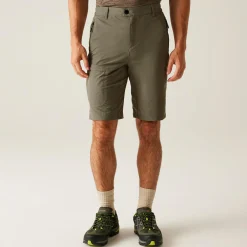 Men's Highton II Long Walking Shorts  | Treetop