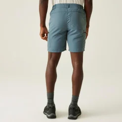 Men's Leesville III Walking Shorts | Stormy Weather