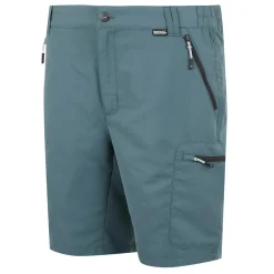 Men's Leesville III Walking Shorts | Stormy Weather