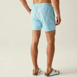 Men's Loras Swim Shorts | Aquarius Blue Stripe
