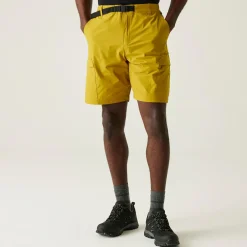 Men's Mallen Shorts | Mustard
