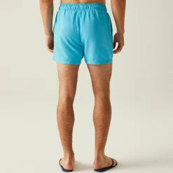 Men's Mawson III Swim Shorts | Aquarius Navy