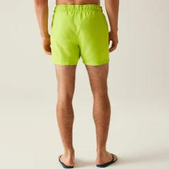 Men's Mawson III Swim Shorts | Wild Lime Navy