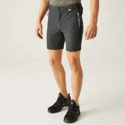 Men's Mountain II Walking Shorts | Ash Black