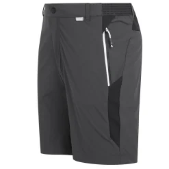 Men's Mountain II Walking Shorts | Ash Black