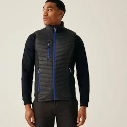 Men's Navigate Hybrid Bodywarmer | Black New Royal