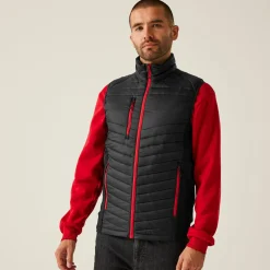 Men's Navigate Hybrid Bodywarmer | Black Classic Red