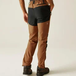 Men's Questra V Walking Trousers | Brown