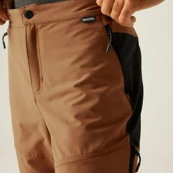 Men's Questra V Walking Trousers | Brown