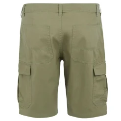 Men's Ruwan Casual Shorts | Fauna