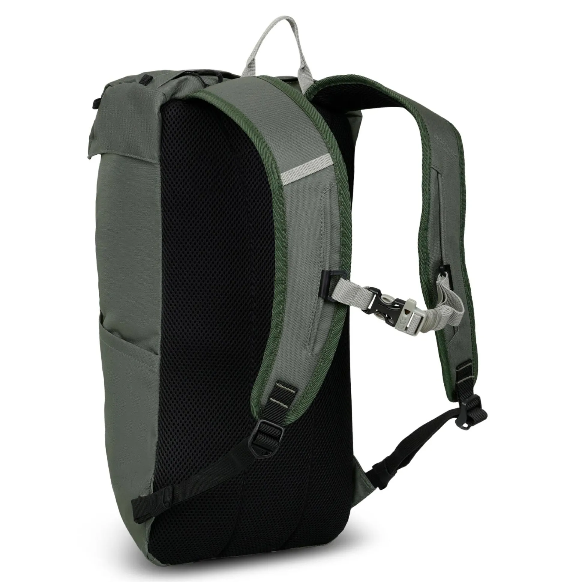 Survivor V 20L Backpack | Green