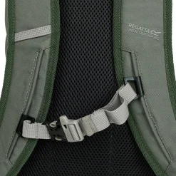 Survivor V 20L Backpack | Green