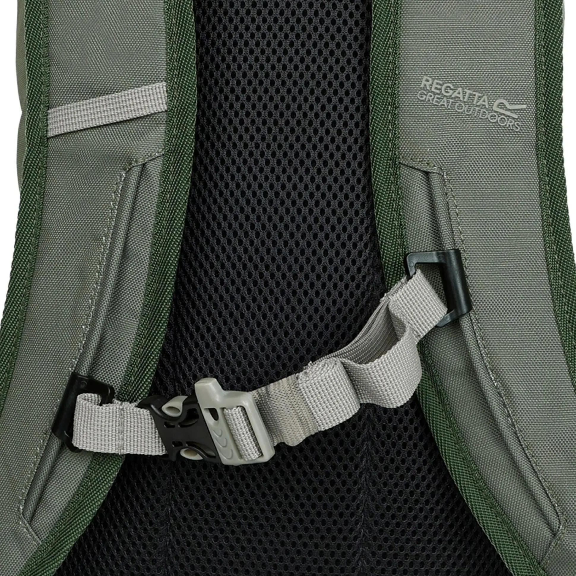Survivor V 20L Backpack | Green