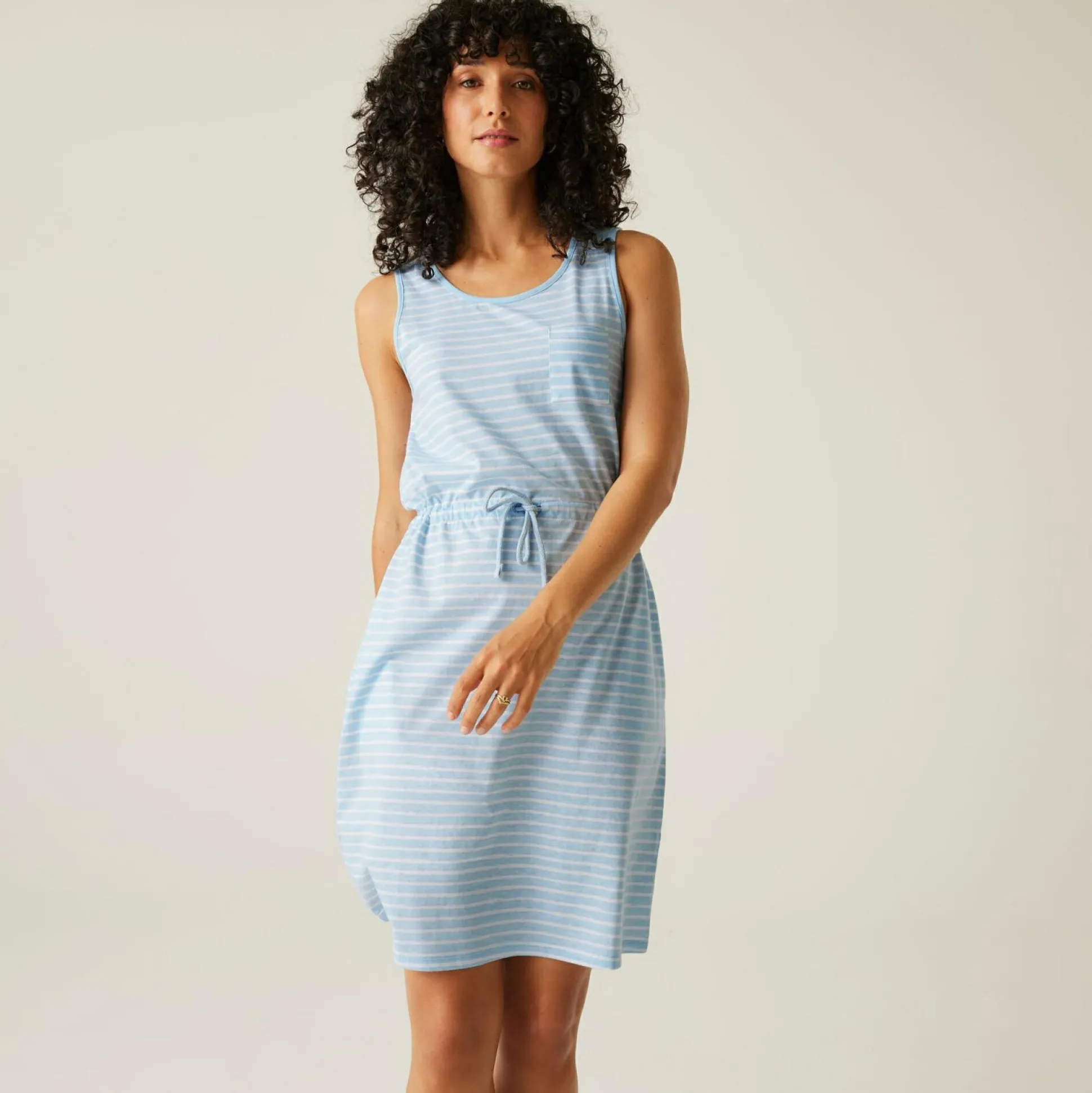 Women's Ariena Casual Dress | Chambray Blue White Painterly Stripe