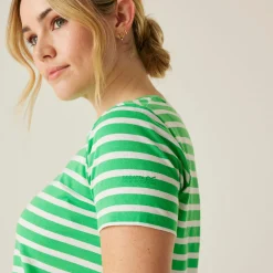 Women's Bayletta Short Sleeve T-Shirt | Island Green White Stripe